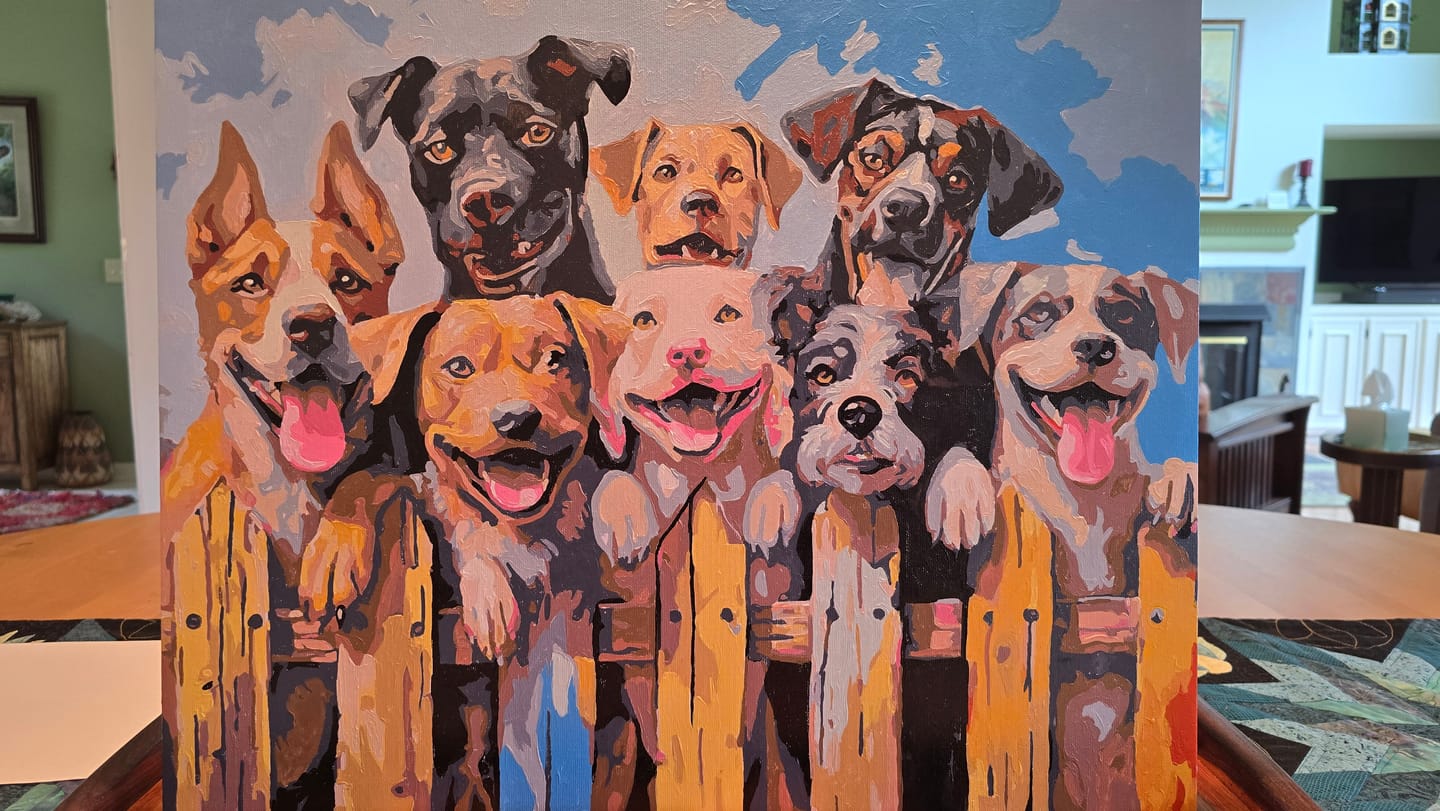 Customer photo review of Dog Days of Summer