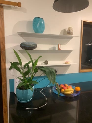 Customer photo review of FOLD Ledge 900