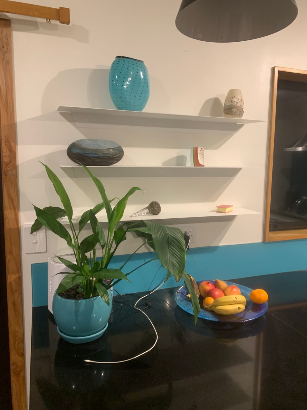 Customer photo review of FOLD Ledge 900