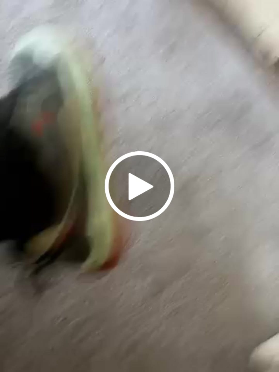 Customer video review of Stratus - Wide Toe Sneakers