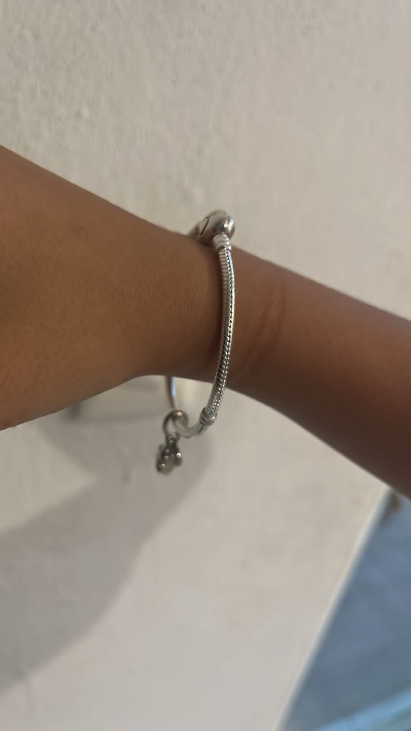 Customer photo review of SET PULSERA PANDORA + CHARM EVANGELINE LUCIERNAGA Y KIT GRATIS