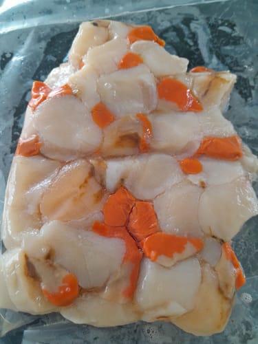 Customer photo review of Tasmanian Scallops Pack