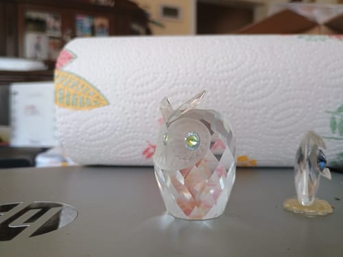 Customer photo review of BSF Larven - getrocknete Soldatenfliegenlarven