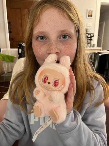 Customer photo review of Pop Mart Labubu The Monsters Have a Seat Vinyl Plush Blind Box