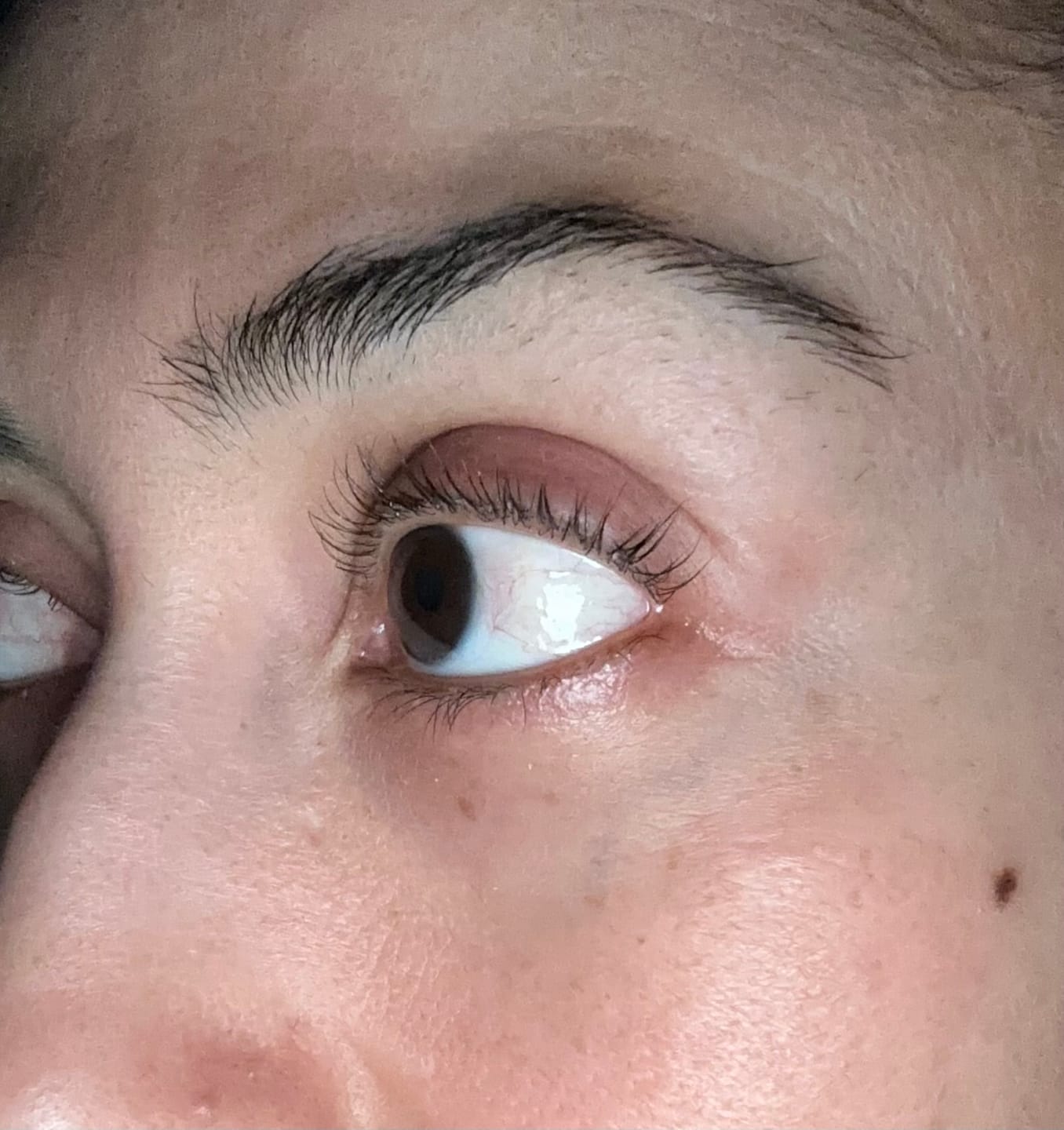 Customer photo review of Lash Lift Kit