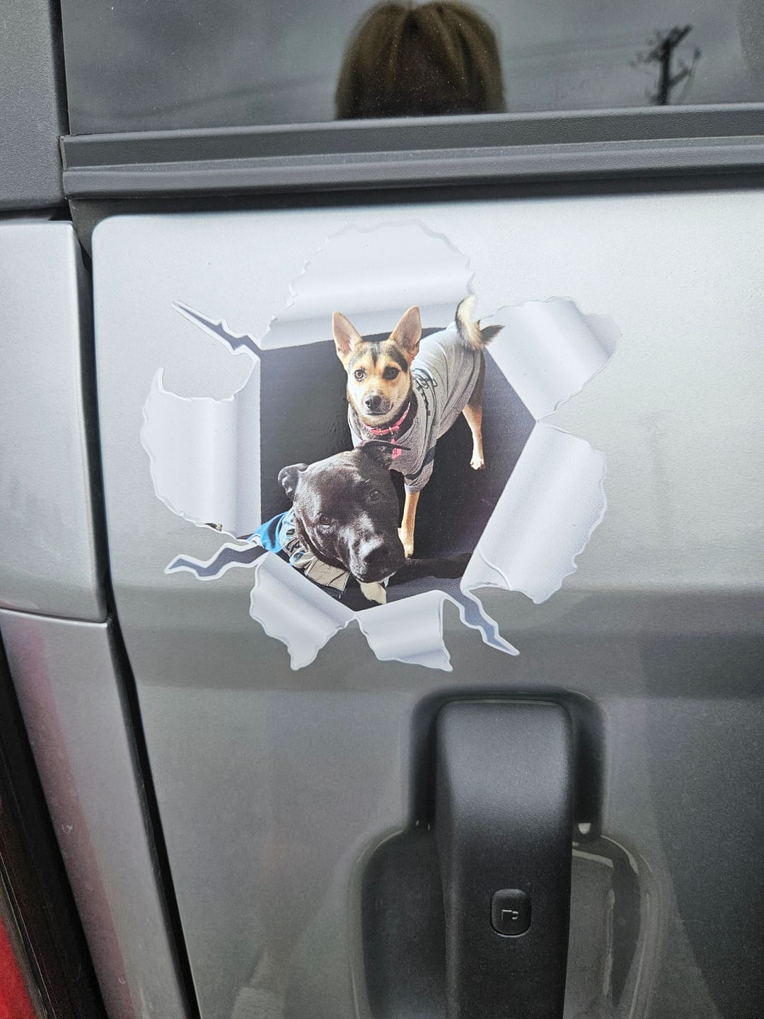 Customer photo review of Peeking photo – Personalized Car Sticker