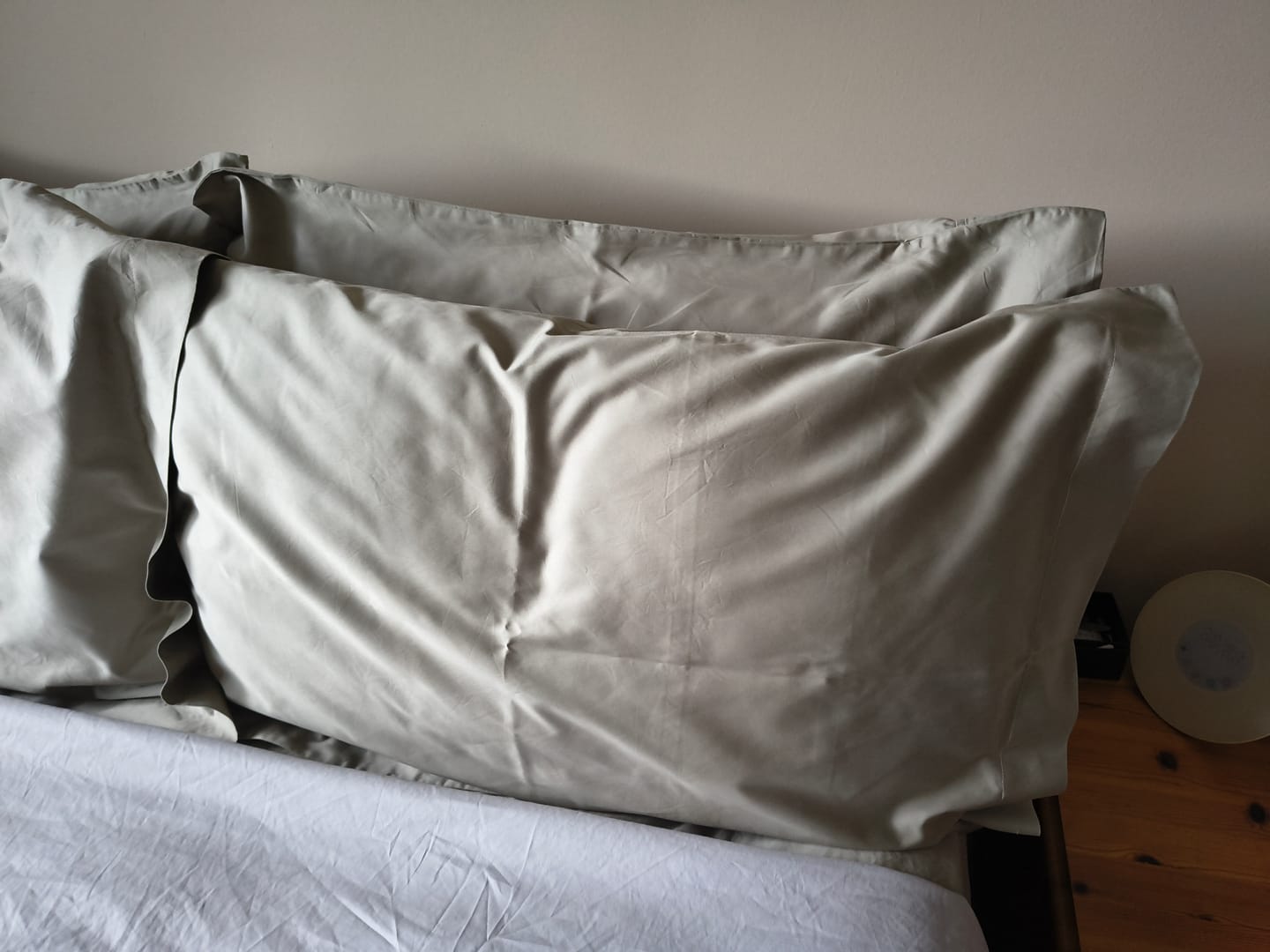 Customer photo review of Martian Dreams Hotel Bamboo Microfibre Pillows - 2 Pack