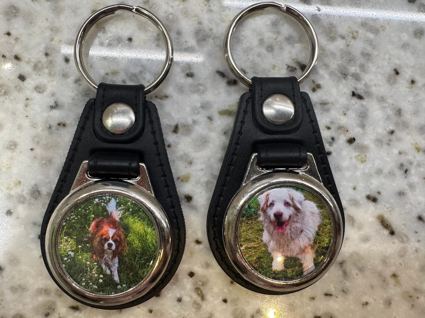 Customer photo review of Schlüsselanhänger mit Hundefoto