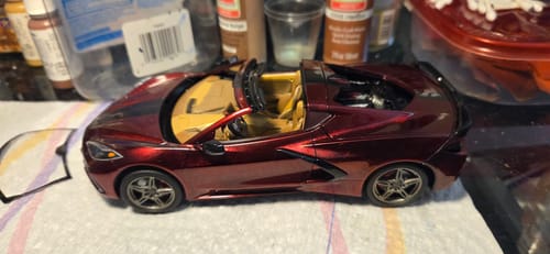 Customer photo review of Fever Dream Paint Basecoat