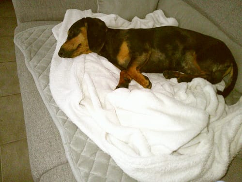 Customer photo review of NUVINT - Digitalkamera