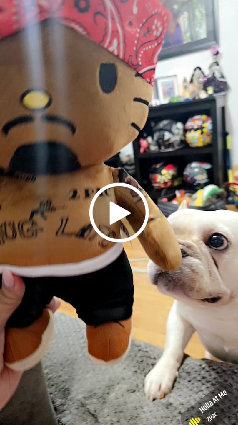 Customer video review of tupac