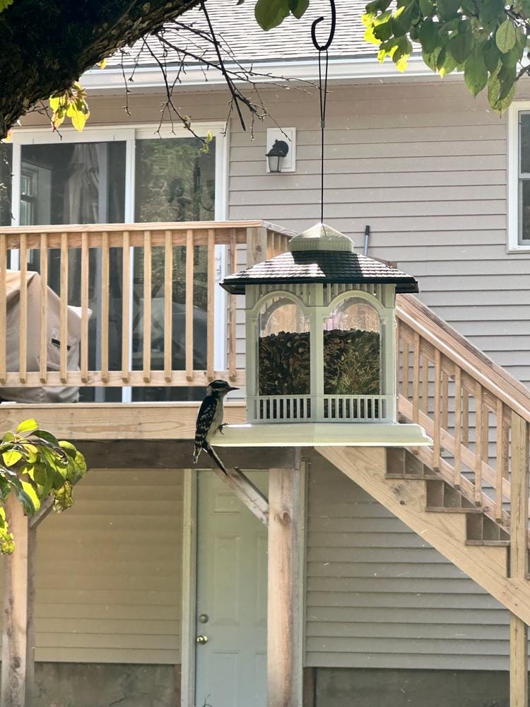 Customer photo review of Bird Bliss Gazebo