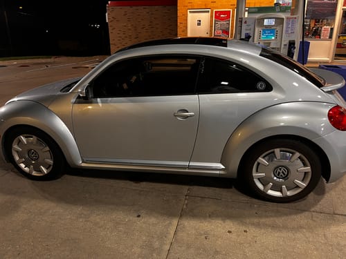 Customer photo review of Oingo Boingo Skull Decal
