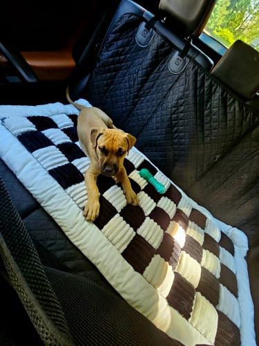 Customer photo review of NEW Waterproof Hard Bottom Car & Truck Seat Foldable Hammock Cover With Storage Pockets, Side Flaps, Headrest Straps, Seat Anchors, & Mesh Window (+FREE SAFETY BELT!)