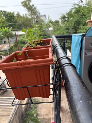 Customer photo review of Metal Railing Pot Stand & Decorative Pots Holder