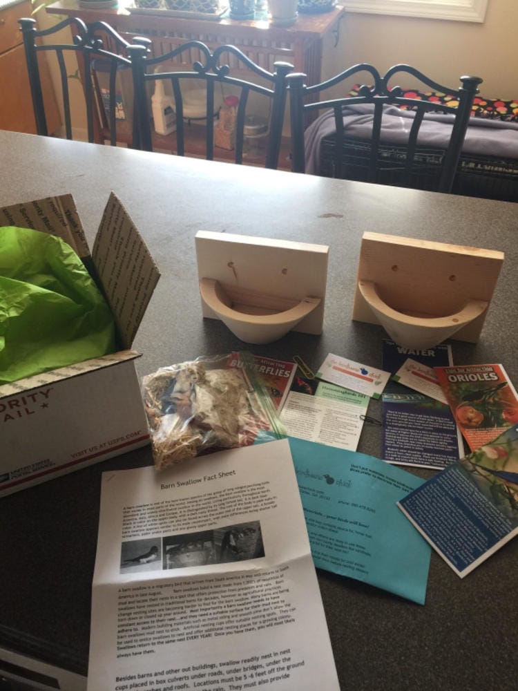 Customer photo review of Barn Swallow Nest Cups - Set of 2