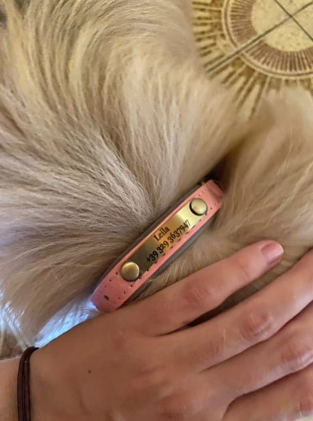 Customer photo review of PawID - Gegraveerde Leren Hondenhalsband