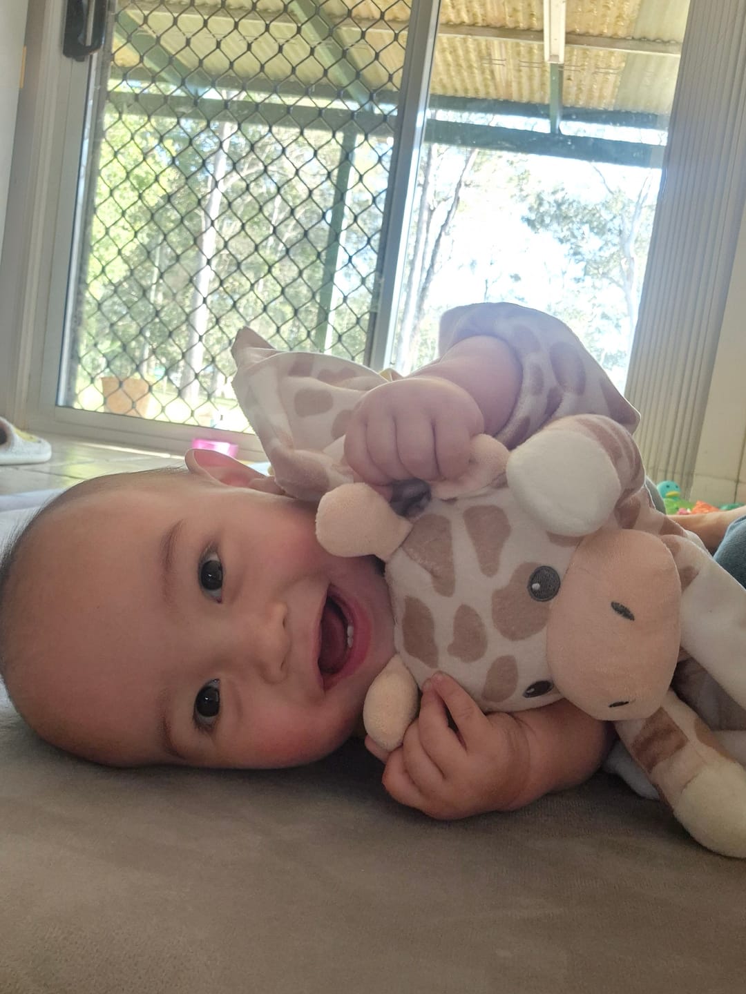Customer photo review of Shay the Giraffe