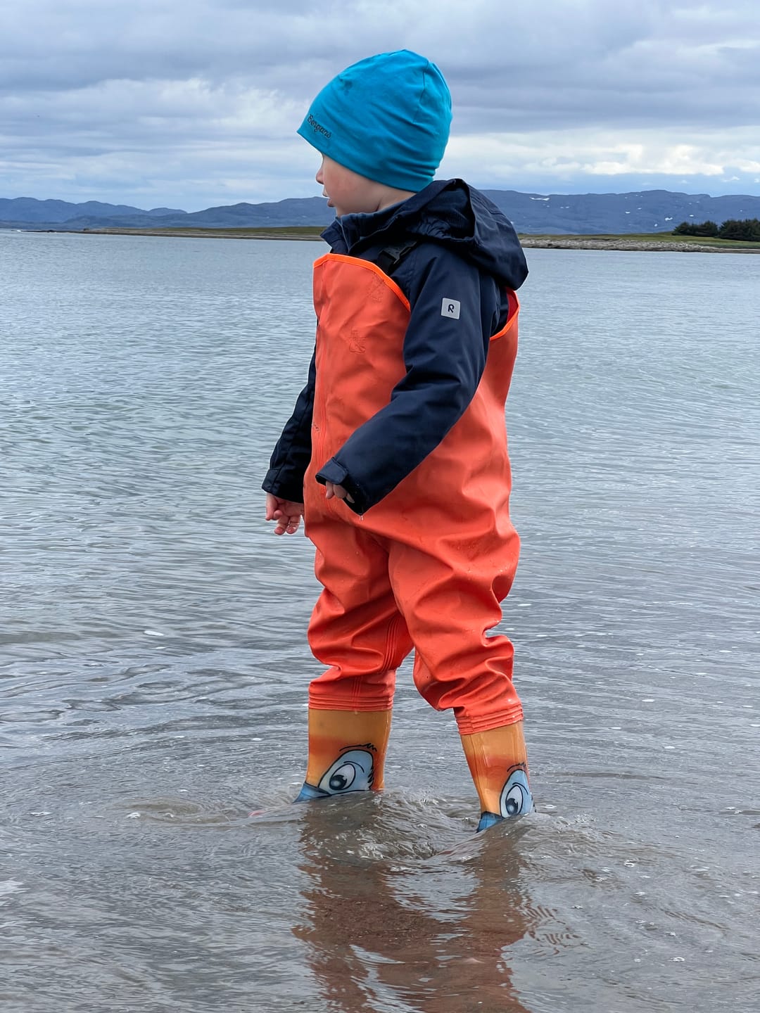 Customer photo review of Tiger'n