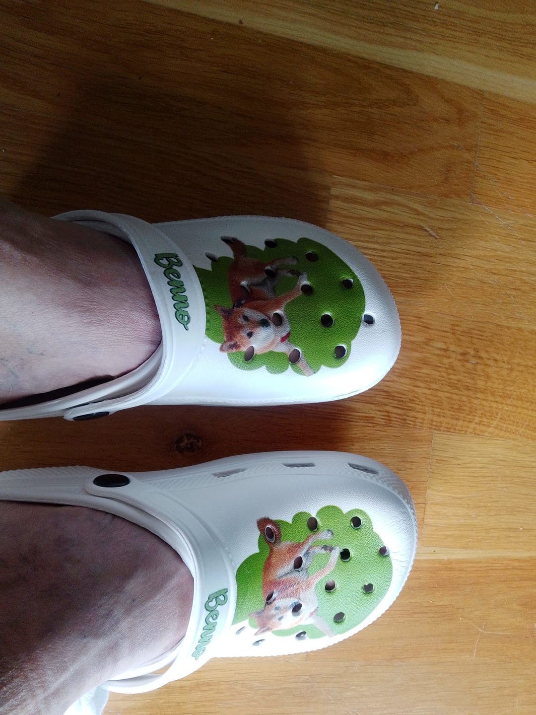 Customer photo review of Haustierportrait - Individuelle Clogs