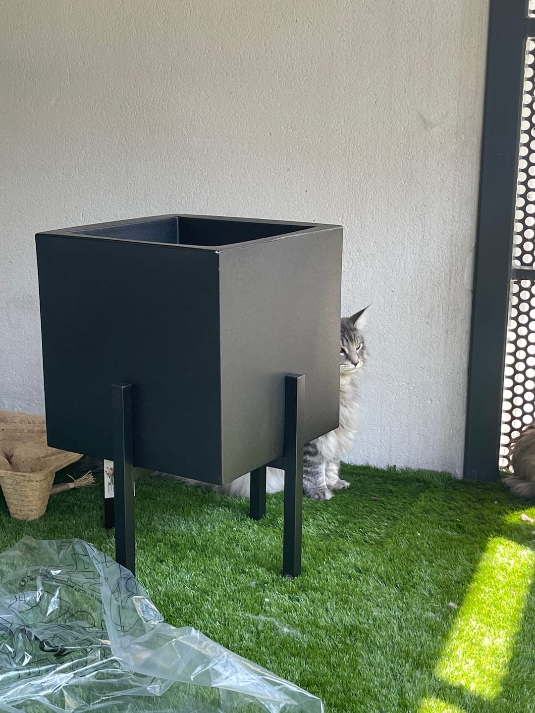 Customer photo review of Pot - Cubo