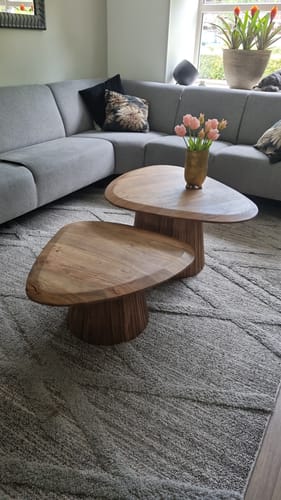 Customer photo review of Salontafel Harmony - Organisch - Bruin - Mangohout - Set van 2