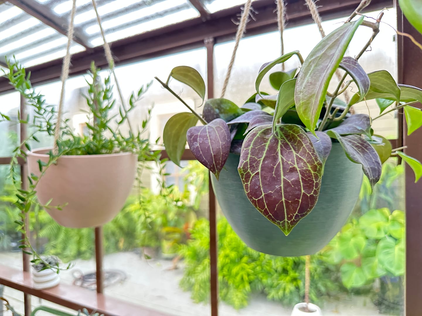 Customer photo review of 8" | 12" Signature Stone Hanging Planter