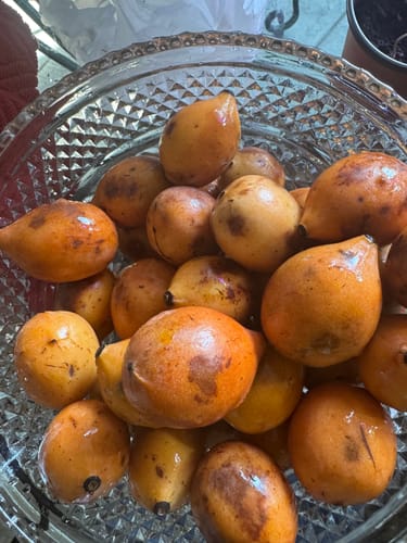 Customer photo review of Achacha (Achachairú)