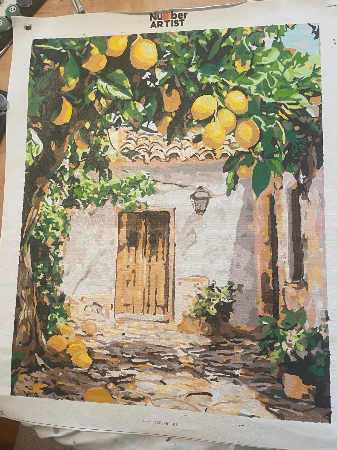 Customer photo review of Lemon Yard