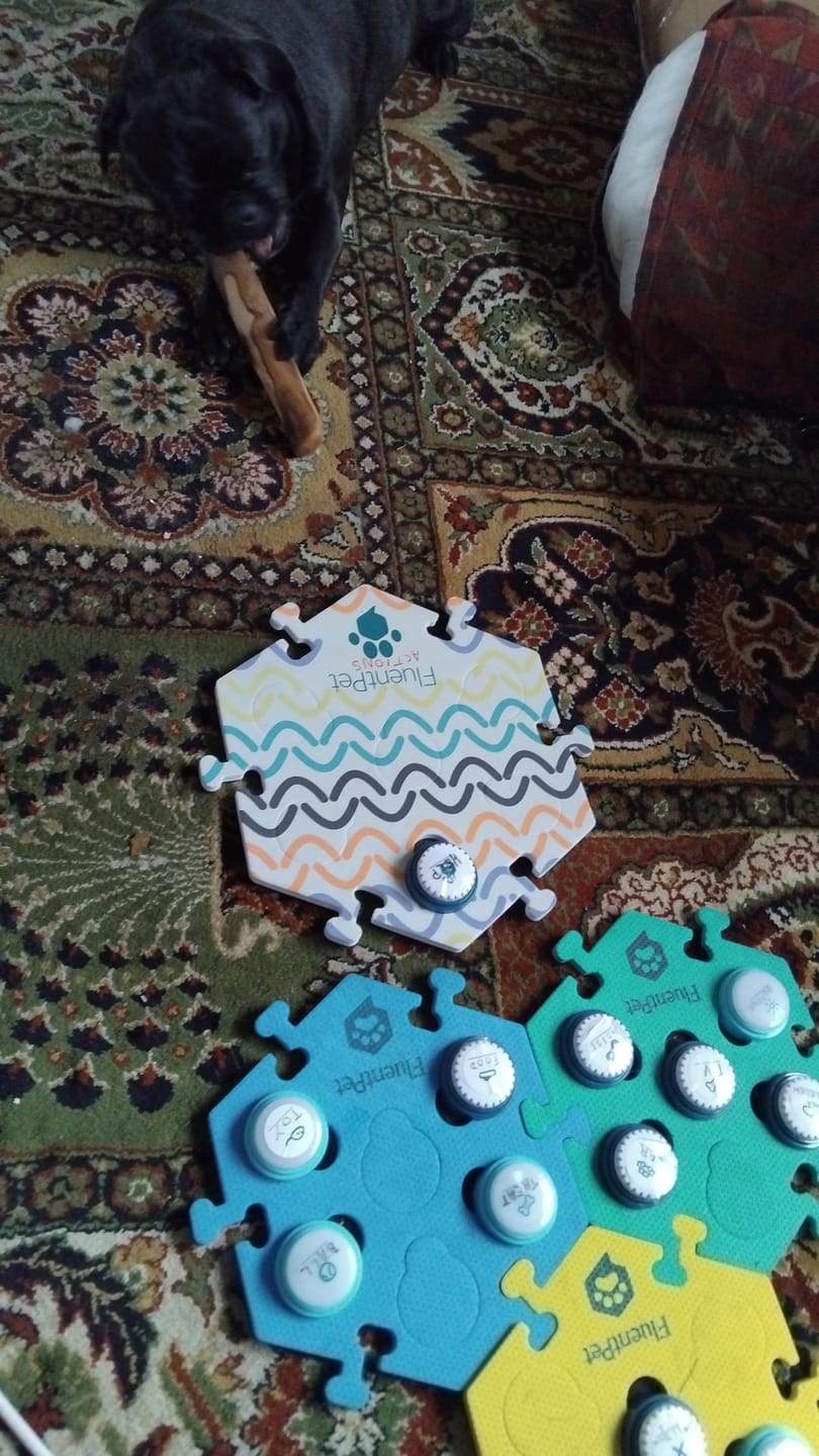Customer photo review of Big-Paw Pattern HexTile