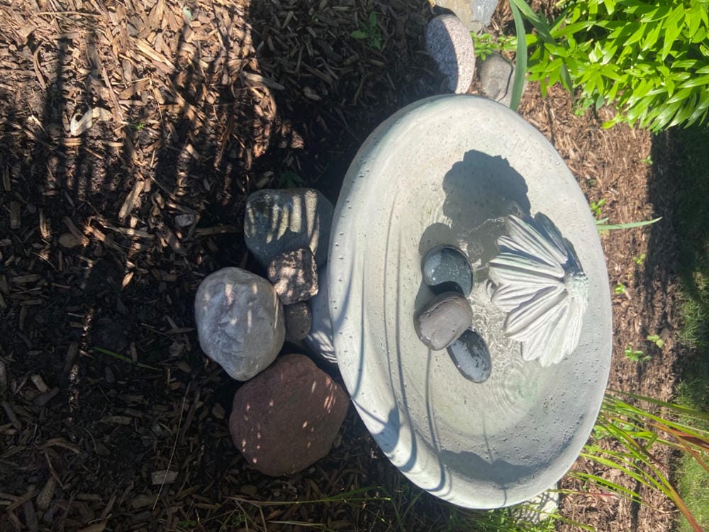 Customer photo review of Flower Dripper Bird Bath Fountain