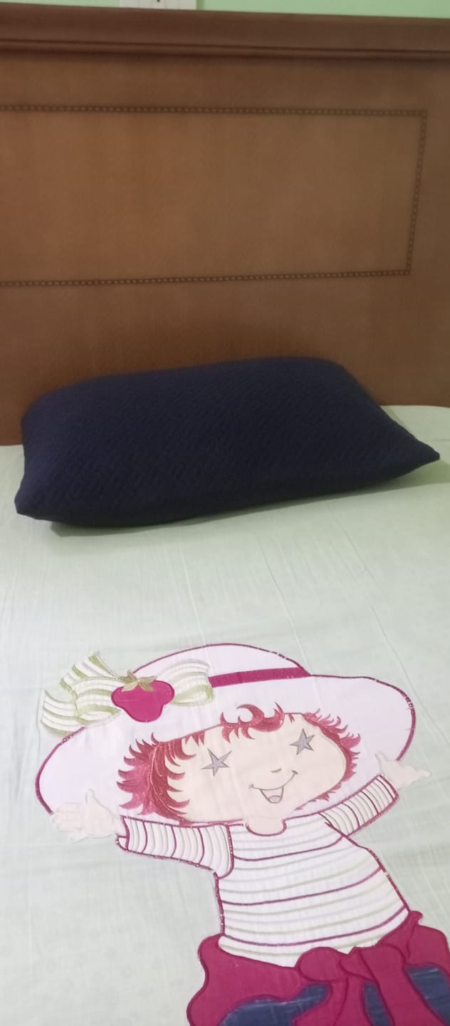 Customer photo review of Super Soft Shredded Memory Foam Pillow