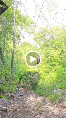 Customer video review of Occult | Short Sleeve | Flowteq™ Jersey