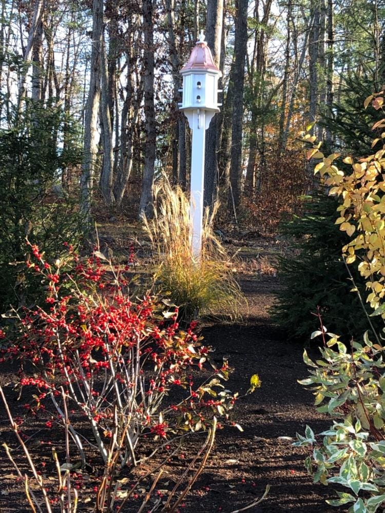 Customer photo review of Copper Roof Dovecote Birdhouse 36x14 - 8 Perches