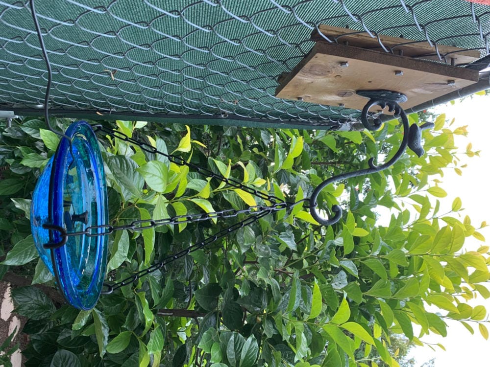 Customer photo review of Solar Bubbler Hanging Bird Bath- 2 Colors