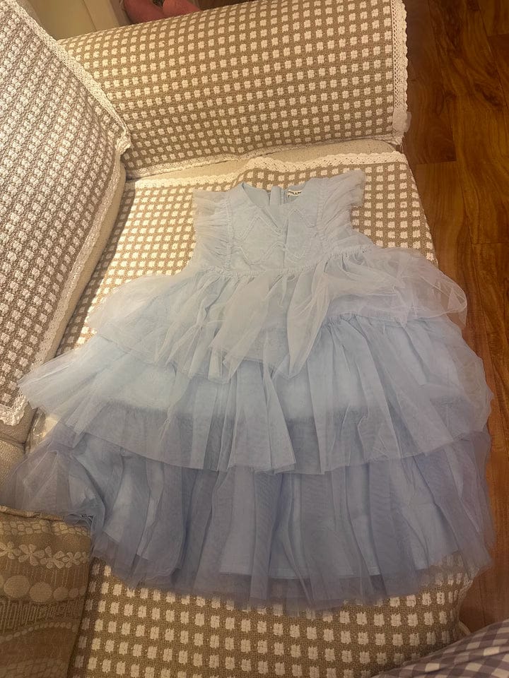 Customer photo review of Dave&Bella Summer Girls Sleeveless Layered Mesh Princess Dress