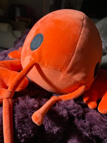 Customer photo review of Lenny the Lobster Weighted HugaLump Animal Plush Medium