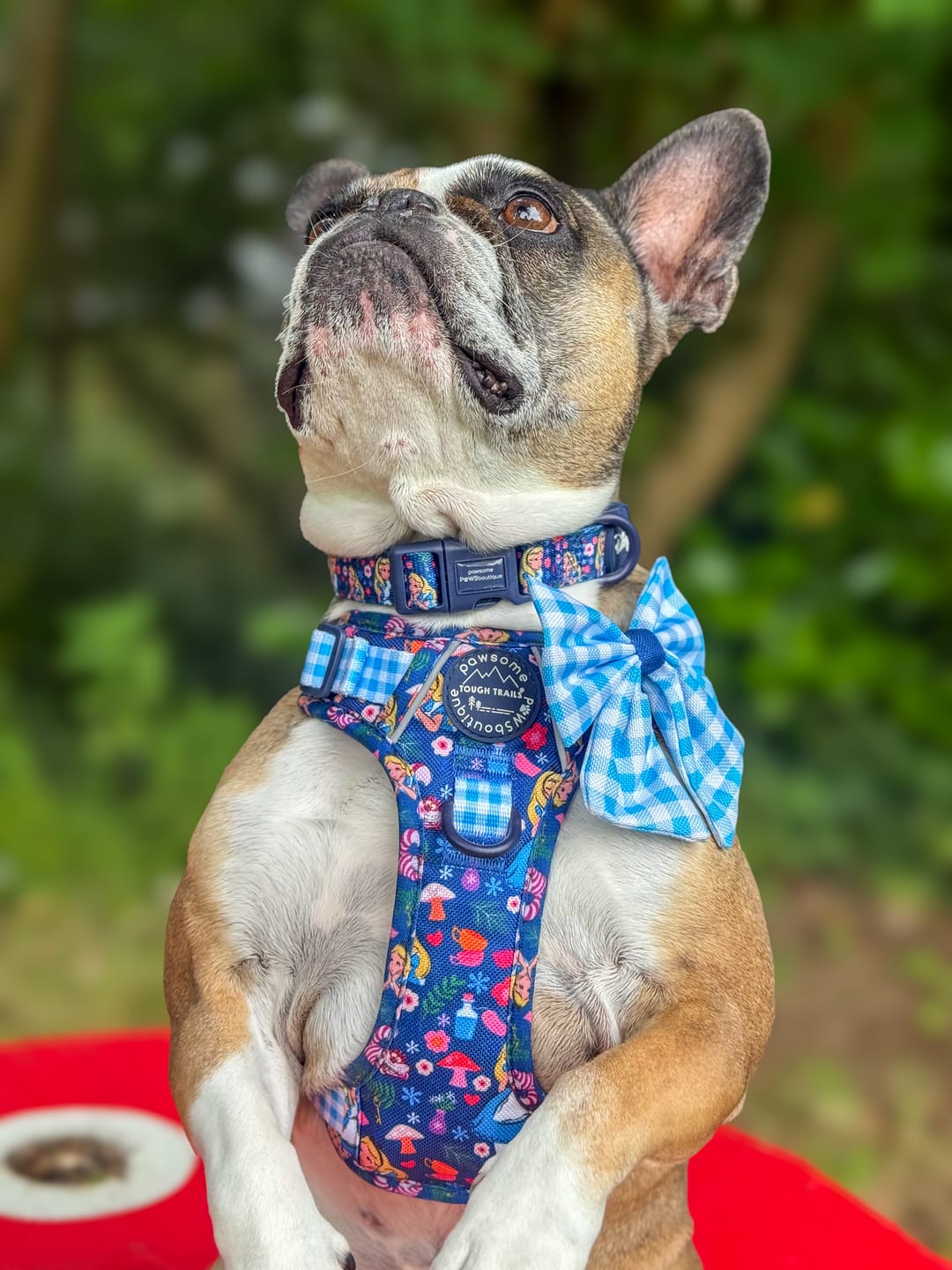 Customer photo review of Tough Trails™ Harness - Alice In Wonderland