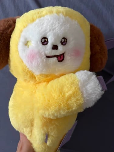 Customer photo review of BT21 Official The Journey Hug Me Plush Crossbody Bag