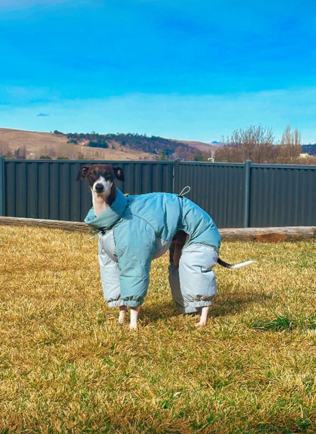 Customer photo review of Autumn Breeze Outdoor Suit