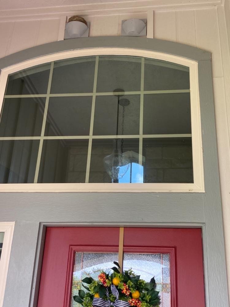 Customer photo review of Barn Swallow Nest Cups - Set of 2