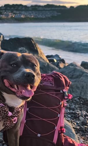 Customer photo review of PRE-ORDER - Walkies Ready® Hiking Backpack