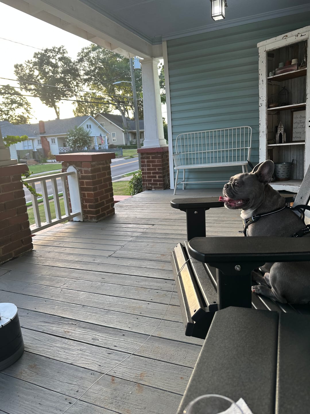 Customer photo review of Pup Stack