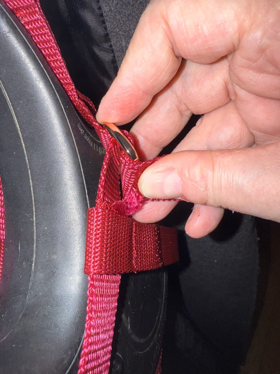 Customer photo review of Halfter  |  XS - L |