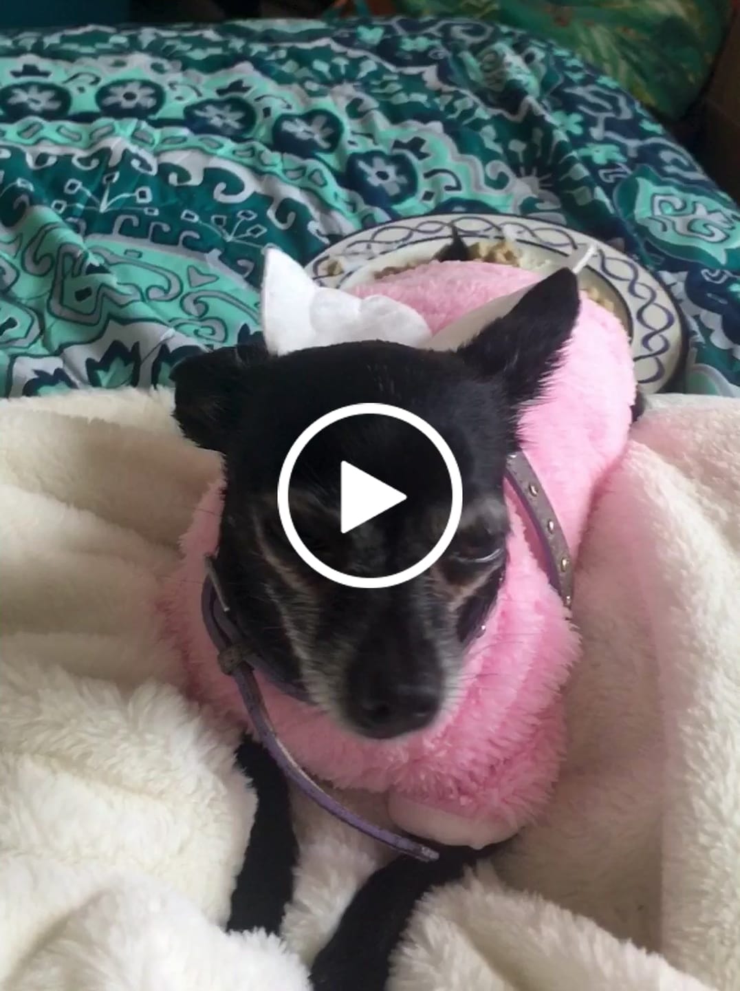 Customer video review of Immunity Bundle