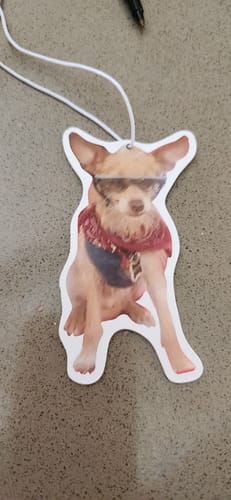 Customer photo review of Custom Air Freshener
