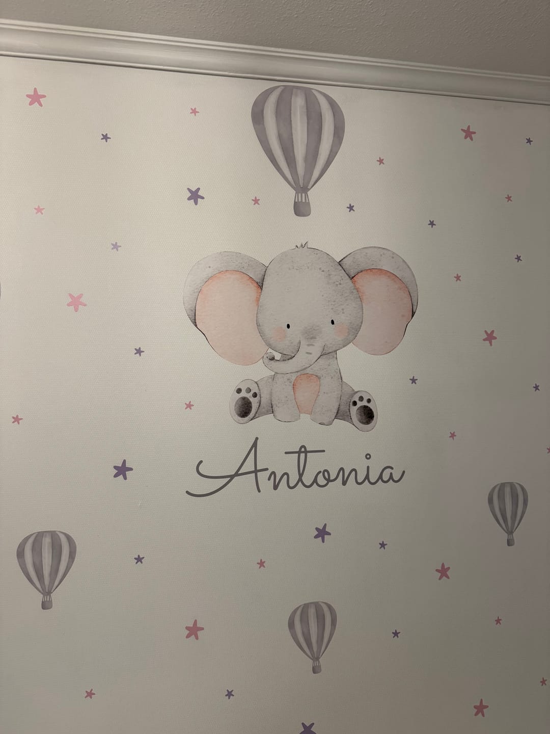 Customer photo review of Elefante, globos y estrellas