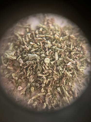 Customer photo review of AVENTUS8 THC-A FLOWER BISCOTTI 28G