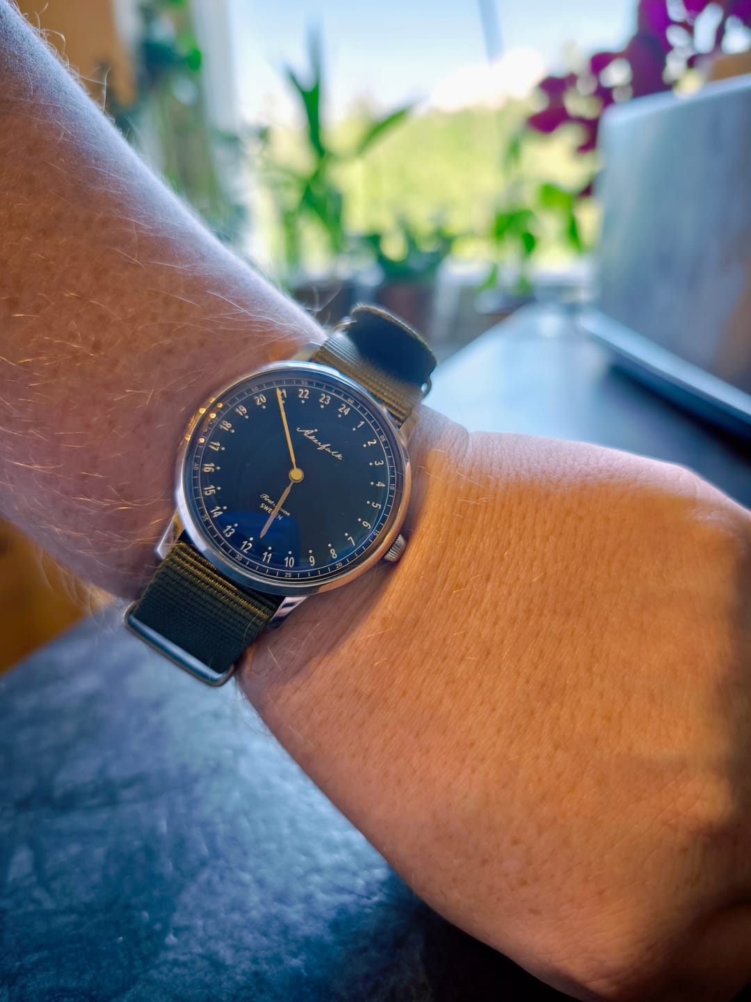 Customer photo review of First Season Silver Black with Green NATO