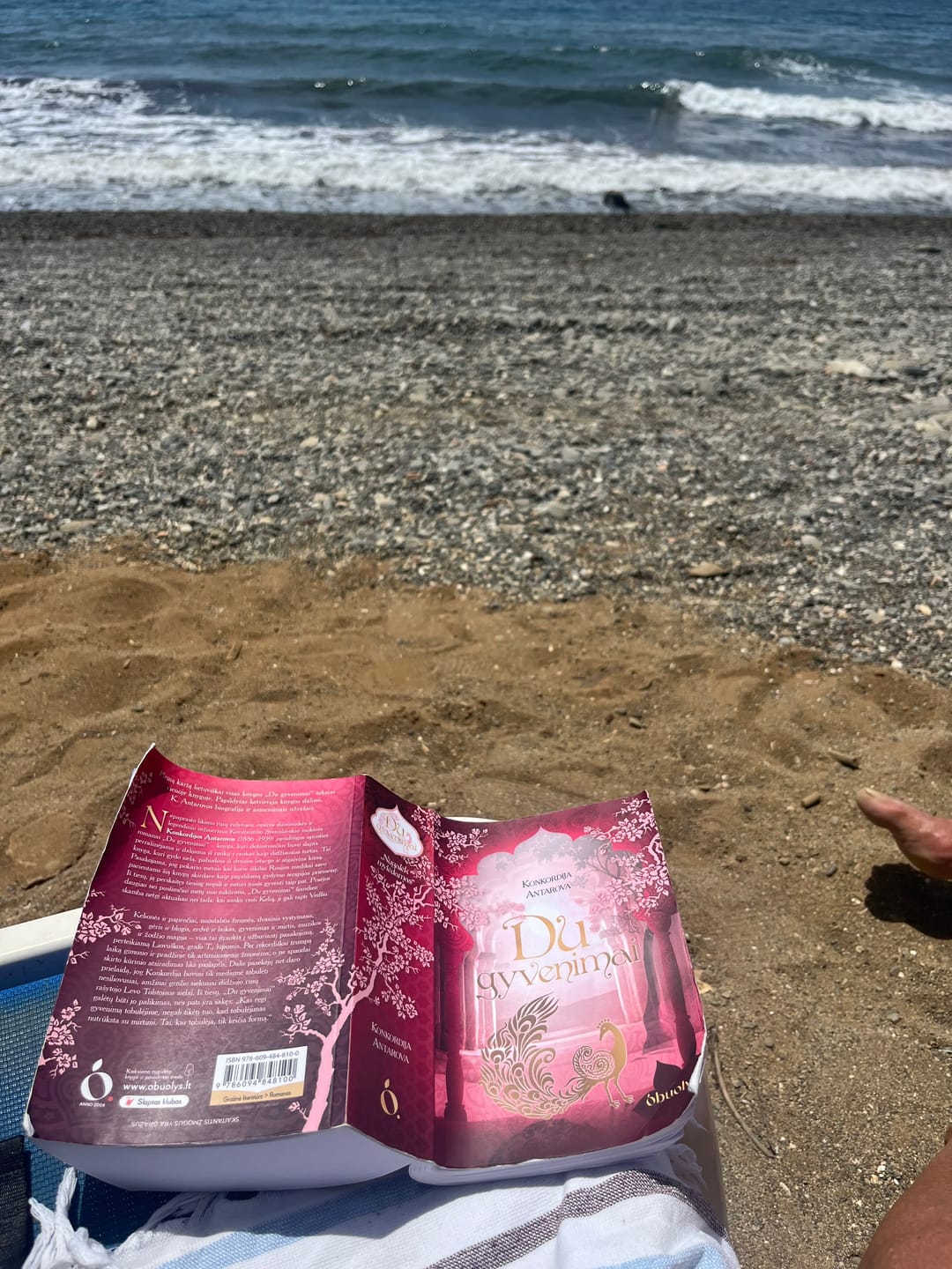 Customer photo review of Du gyvenimai: kultinis dvasinės literatūros šedevras – kelioninė versija minkštais viršeliais